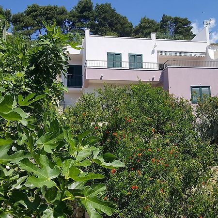 Apartments Pero Podgora Dış mekan fotoğraf