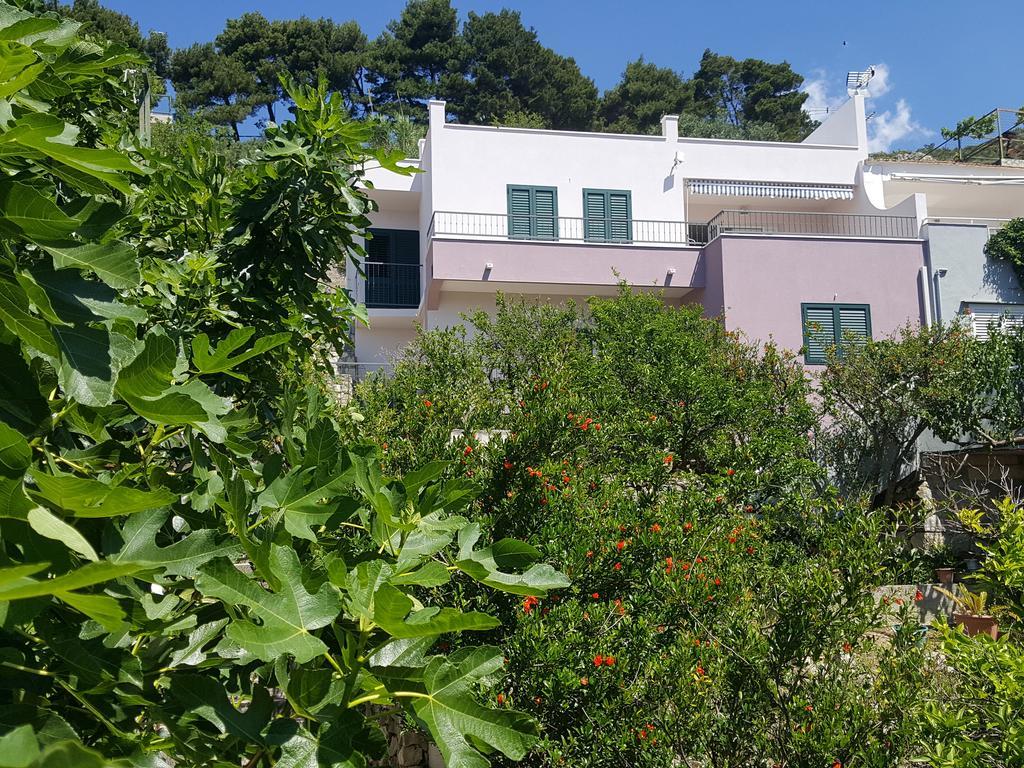 Apartments Pero Podgora Dış mekan fotoğraf